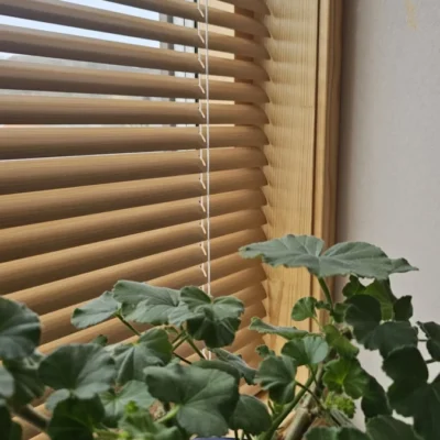 Träfärgad persienn i ett fönster med träfärgade fönsterbågar och karmar. Persiennen passar snyggt in i fönstret och reglerar enkelt ljuset med lamellerna